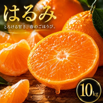 【選ぶならこれ】ぷちぷち食感【はるみ】10kg　愛媛県産