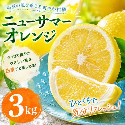 【選ぶならこれ】初夏の爽快感【ニューサマーオレンジ】3kg　愛媛県産