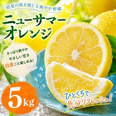 【選ぶならこれ】初夏の爽快感【ニューサマーオレンジ】5kg　愛媛県産