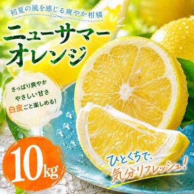 【選ぶならこれ】初夏の爽快感【ニューサマーオレンジ】10kg　愛媛県産