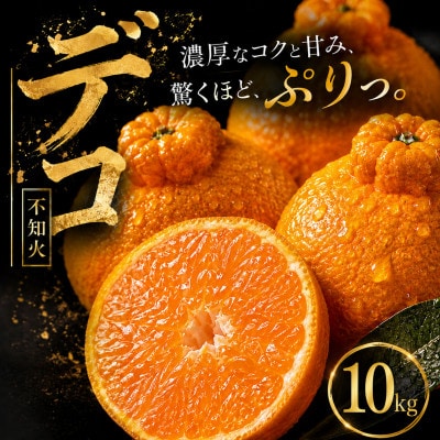 【早い者勝ち】深い甘み【デコ(不知火)(デコポンと同品種)】10kg　愛媛県産
