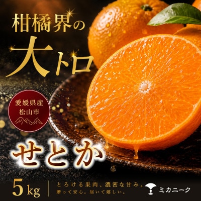 【数量限定受付】柑橘の大トロ【せとか】5kg　愛媛県産