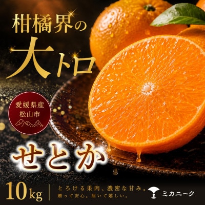 【数量限定受付】柑橘の大トロ【せとか】10kg　愛媛県産