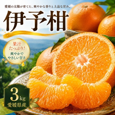 【安心して選べる】爽やかジューシー【伊予柑】3kg　愛媛県産