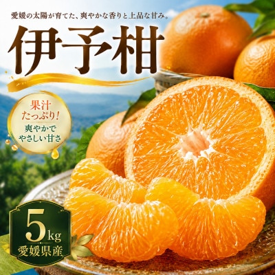【安心して選べる】爽やかジューシー【伊予柑】5kg　愛媛県産