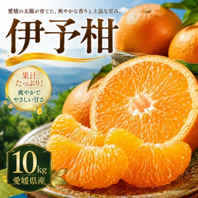 【安心して選べる】爽やかジューシー【伊予柑】10kg　愛媛県産
