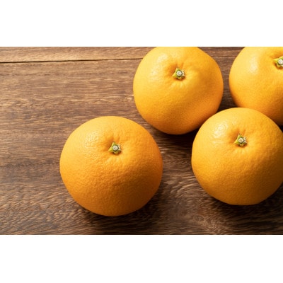 ほろ苦さが、クセになる理由。愛媛・八朔2kg | 愛媛県松山市