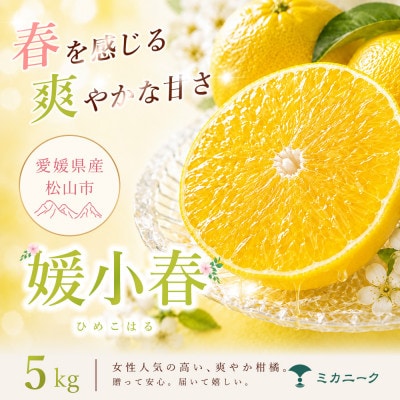 【知る人ぞ知る】驚きの甘さ【媛小春】5kg　愛媛県産