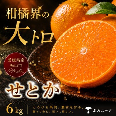 【数量限定受付】柑橘の大トロ【せとか】6kg　愛媛県産