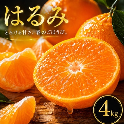 【選ぶならこれ】ぷちぷち食感【はるみ】4kg　愛媛県産