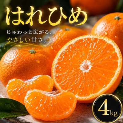 【選ぶならこれ】とろける甘み【はれひめ】4kg　愛媛県産