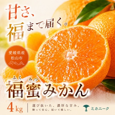 【いま注目されています】濃密な甘さ【福蜜みかん】4kg　愛媛県産