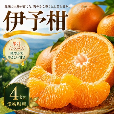 【安心して選べる】爽やかジューシー【伊予柑】4kg　愛媛県産