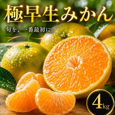 【待望の新登場】秋の先取り【極早生みかん】4kg　愛媛県産