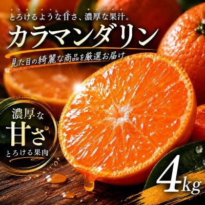 【選び抜いた一箱】ギュッと濃い甘さ【カラマンダリン】4kg　愛媛県産