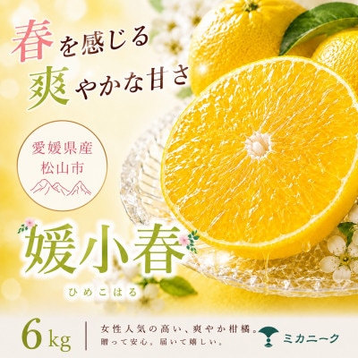 【知る人ぞ知る】驚きの甘さ【媛小春】6kg　愛媛県産