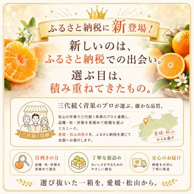 【選ぶならこれ】酸味ほぼなし【はるか】10kg　愛媛県産
