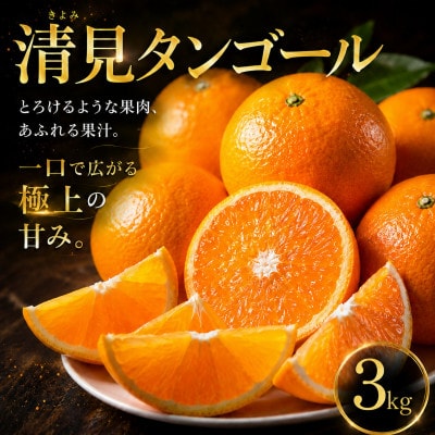 【選ぶならこれ】果汁じゅわっと【清見タンゴール】3kg　愛媛県産