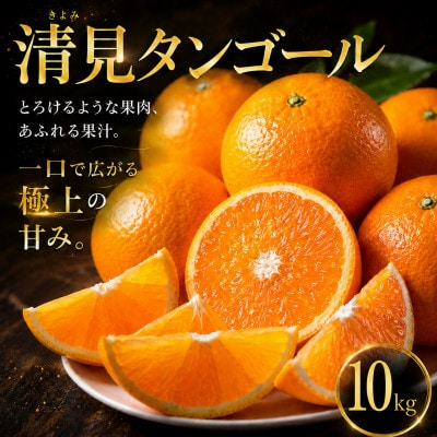 【選ぶならこれ】果汁じゅわっと【清見タンゴール】10kg　愛媛県産
