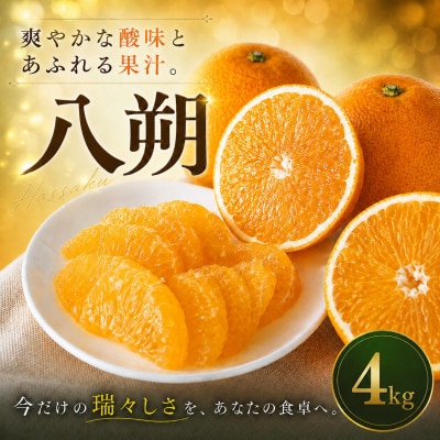 【選ぶならこれ】大人の柑橘【八朔】4kg　愛媛県産