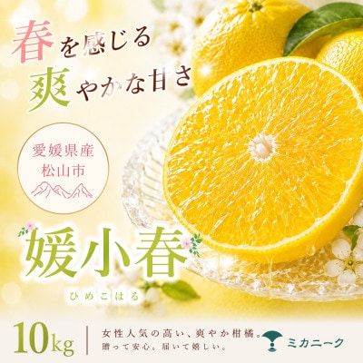 【知る人ぞ知る】驚きの甘さ【媛小春】10kg　愛媛県産