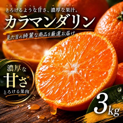 【選び抜いた一箱】ギュッと濃い甘さ【カラマンダリン】3kg　愛媛県産