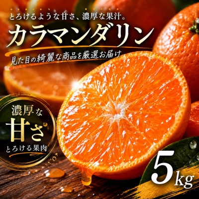 【選び抜いた一箱】ギュッと濃い甘さ【カラマンダリン】5kg　愛媛県産