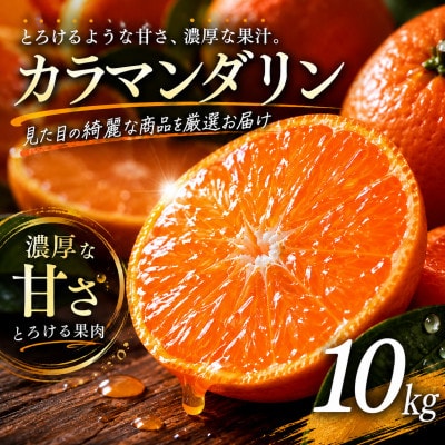 【選び抜いた一箱】ギュッと濃い甘さ【カラマンダリン】10kg　愛媛県産