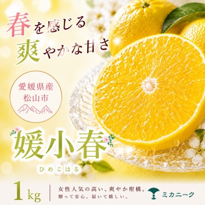 【知る人ぞ知る】驚きの甘さ【媛小春】1kg　愛媛県産