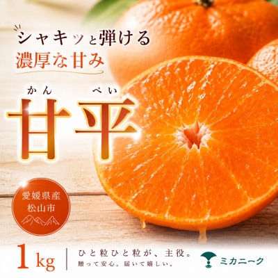 【急いで確保】シャキッと果肉【甘平】1kg　愛媛県産
