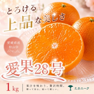 【数に限りあり】ゼリー食感【愛果28号(紅まどんなと同品種)】1kg　愛媛県産
