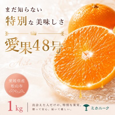 【知る人ぞ知る】幻の新品種【愛果48号(紅プリンセスと同品種)】1kg　愛媛県産