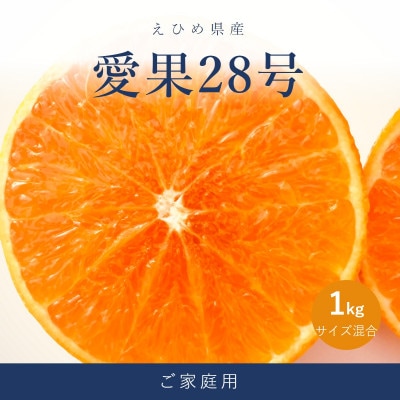 愛果28号(紅まどんなと同品種) 家庭用 1kg(愛媛県松山市産)