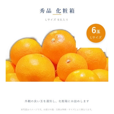 愛果28号(紅まどんなと同品種) 秀品 化粧箱 6玉(愛媛県松山市産)
