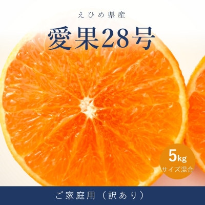 愛果28号(紅まどんなと同品種) 訳あり 家庭用 5kg(愛媛県松山市産)
