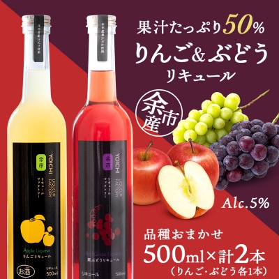 りんご&ぶどうリキュール計2本【品種おまかせ】〈余市リキュールファクトリー〉_Y020-0613