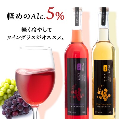 【定期便3ヵ月】ぶどうリキュール2本【品種おまかせ】余市リキュールファクトリー_Y020-0618