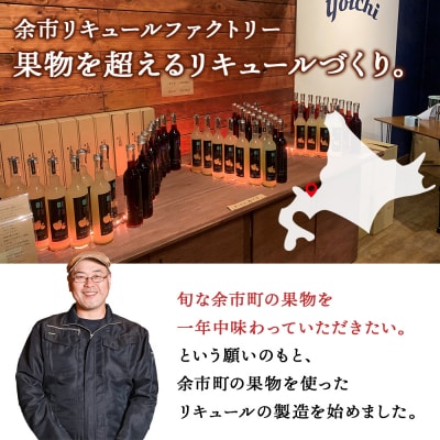 【定期便3ヵ月】ぶどうリキュール2本【品種おまかせ】余市リキュールファクトリー_Y020-0618