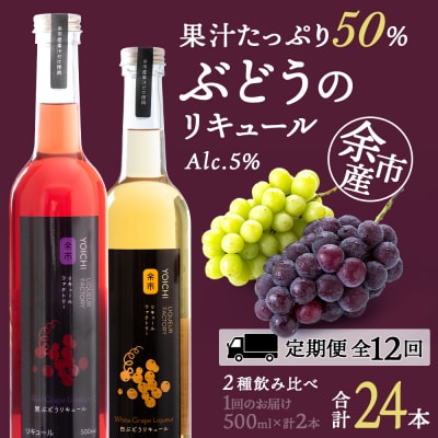 【定期便12ヵ月】ぶどうリキュール2本【品種おまかせ】_Y020-0620