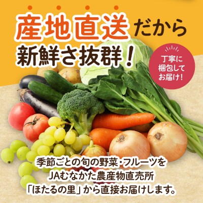 【毎月お届け】むなかた旬のお任せセット(野菜・フルーツ)9～11品【JAほたるの里】_HB0175