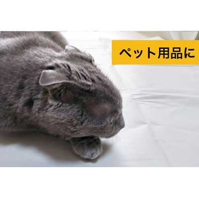 新聞になれなかった新聞(白)