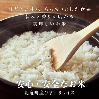 【令和5年産】ななつぼし 10kg 玄米 北海道北竜町産【1111-R5】