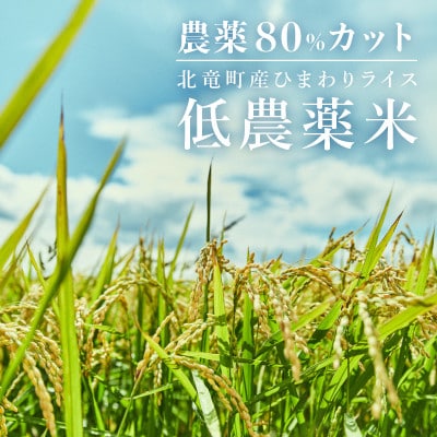 【令和5年産】きたくりん 30kg 玄米 北海道北竜町産【2513-R5】