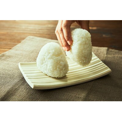 【令和4年産】ななつぼし 4kg 低農薬米(※) 北海道北竜町産【0507-R4】