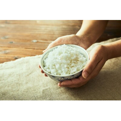 【令和4年産】おぼろづき 5kg 低農薬米(※) 北海道北竜町産【0601-R4】