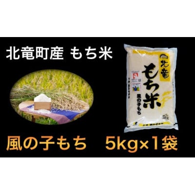 【令和4年産】風の子もち 5kg もち米 北海道北竜町産【0711-R4】