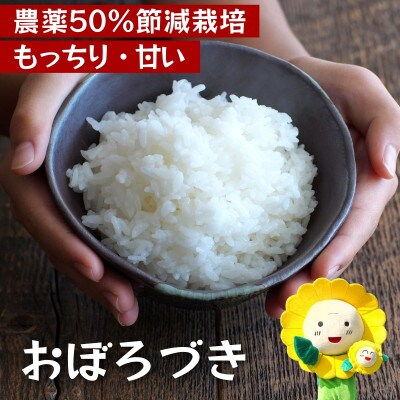 【令和7年産】おぼろづき 5kg 農薬50%節減栽培米  北海道北竜町産