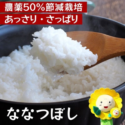 【令和7年産】ななつぼし 無洗米 5kg 農薬50%節減栽培米  北海道北竜町産