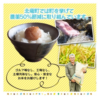【令和7年産】ななつぼし 無洗米 5kg 農薬50%節減栽培米  北海道北竜町産