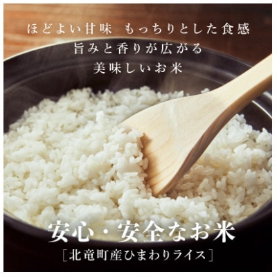 【令和5年産】ななつぼし10kg 低農薬米 北海道北竜町産【1212-R5】